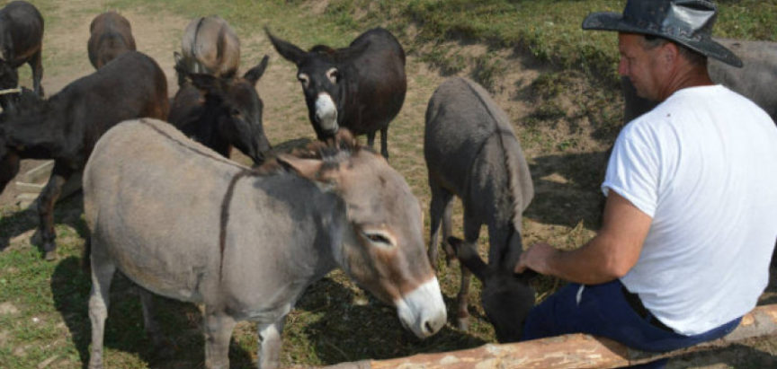 U valu poskupljenja – litra magarećeg mlijeka 150 KM
