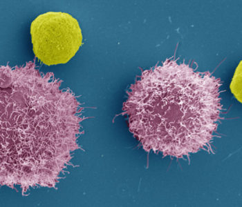 Cf33-hNIS: Testira se virus koji ubija rak