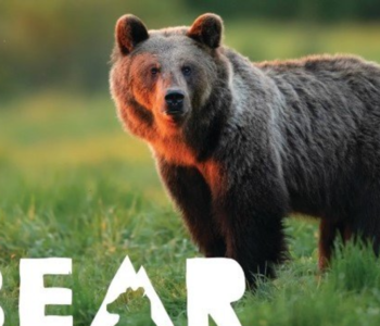 Brošura “Zbliži se s prirodom” organizacije za očuvanje okoliša “Bear in mind”
