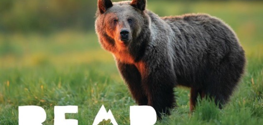 Brošura “Zbliži se s prirodom” organizacije za očuvanje okoliša “Bear in mind”