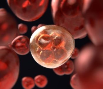 ČUDESNI LIJEK ZA RAK: Izliječi tumor kao antibiotici upalu pluća