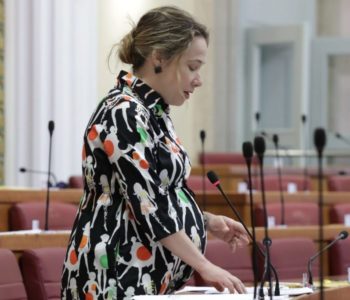 Marija Selak Raspudić u Saboru se za riječ javila čak 422 puta, a HDZ-ovac iz BiH tri puta