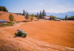 PAD DOMAĆE POLJOPRIVREDNE PROIZVODNJE: Pad proizvodnje kukuruza za 15,4 posto, krumpira za 16 posto, jabuka za 17,9 posto, šljiva za 54,1 posto…