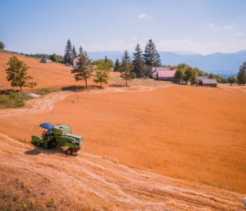 PAD DOMAĆE POLJOPRIVREDNE PROIZVODNJE: Pad proizvodnje kukuruza za 15,4 posto, krumpira za 16 posto, jabuka za 17,9 posto, šljiva za 54,1 posto…