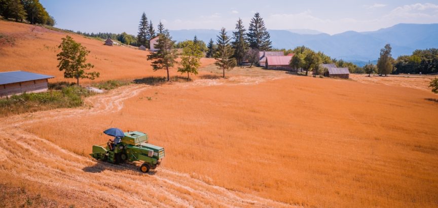 PAD DOMAĆE POLJOPRIVREDNE PROIZVODNJE: Pad proizvodnje kukuruza za 15,4 posto, krumpira za 16 posto, jabuka za 17,9 posto, šljiva za 54,1 posto…