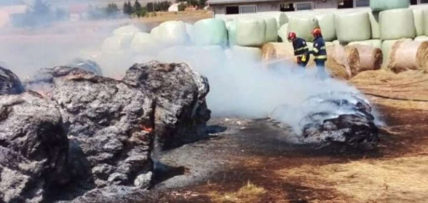 Vatrogasci u Tomislavgradu spasili farmu krava od požara