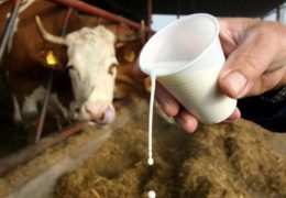 Poljoprivrednici najavljuju blokadu granica