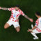 Hrvatska uvjerljivo protiv Kanade do prve pobjede na Svjetskom prvenstvu u Kataru