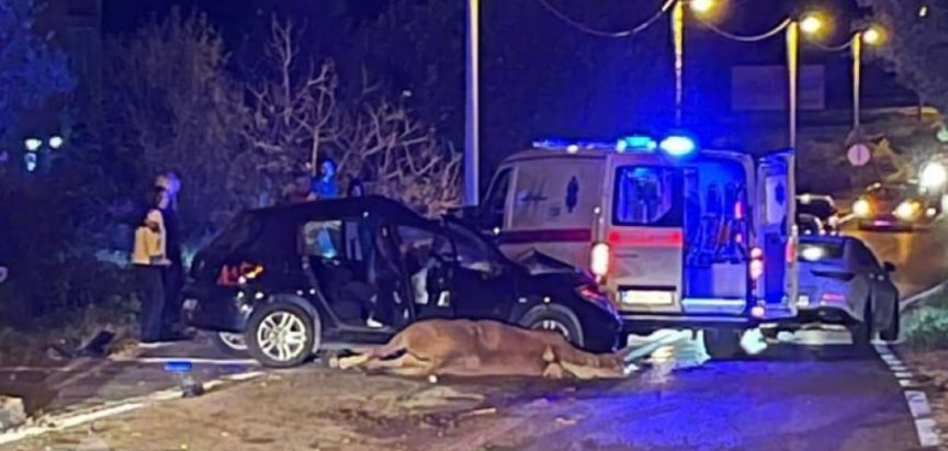 Vozačica  kod Mostara poginula nakon sudara s konjem