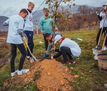 Akcija pošumljavanja i sadnje drveća u Osnovnoj školi “Fra Jeronim Vladić” u Ripcima