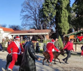 Utrka magaraca u Čapljini, blagdanski događaj koji postaje tradicija