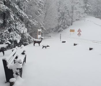 Snijeg zabijelio planine, zimska turistička sezona mogla bi biti spašena