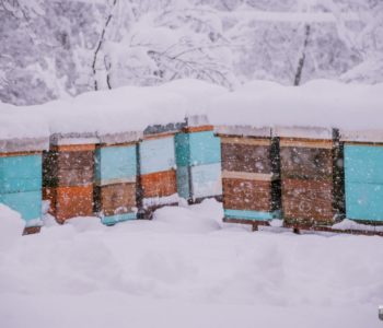 PROGNOZA DO VELJAČE: Stiže još snijega i temperature do minus sedam