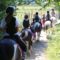 Rad i interakcija s konjima smanjuju stres i tjeskobu