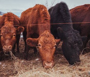 Obavijest za prijavu promjene podataka iz registra poljoprivrednih gospodarstava i registra klijenata