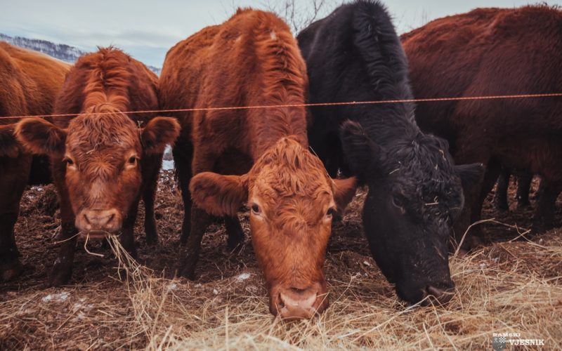 Obavijest za prijavu promjene podataka iz registra poljoprivrednih gospodarstava i registra klijenata