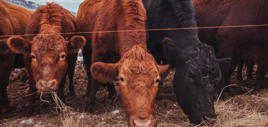 Obavijest za prijavu promjene podataka iz registra poljoprivrednih gospodarstava i registra klijenata