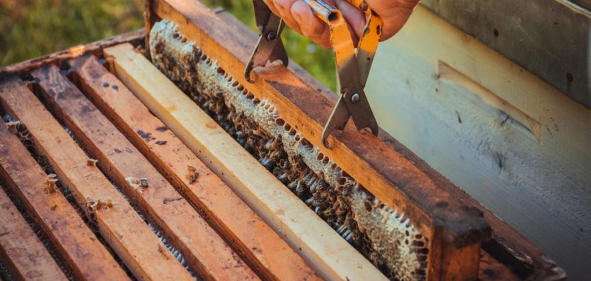 Udruga “Muslim Aid” s Općinom Jablanica implementira projekt “Pčelarstvo i ruralni razvoj”