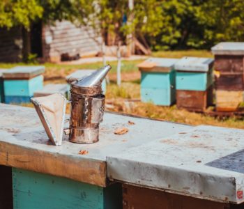 Pčelari u Federaciji BiH očekuju dobar prinos meda, žele 15 KM poticaja po košnici