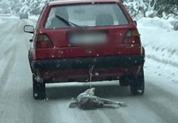 Manijak iz Ravne Romanije živog psa vukao automobilom, kada ga je izmučio krvavog ga odnio u šumu