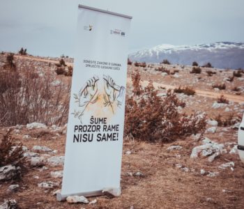 ŠUME U FEDERACIJI: Sektor koji je na dobrom putu da postane najkorumpiraniji