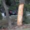 TRAGEDIJA NA ULAZU U POZNATI HOTEL: Preminula dva mladića nakon što su se automobilom zabili u stablo