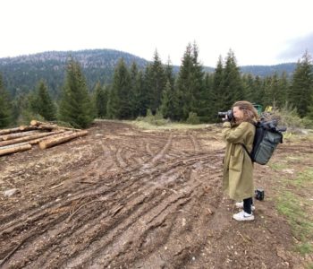 Problem šumskog bezakonja prešao granice BIH