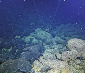 Znanstvenici uzeli uzorke iz jedne od najdubljih oceanskih brazdi na Zemlji i došli do poraznog zaključka