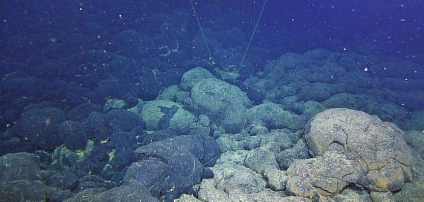 Znanstvenici uzeli uzorke iz jedne od najdubljih oceanskih brazdi na Zemlji i došli do poraznog zaključka