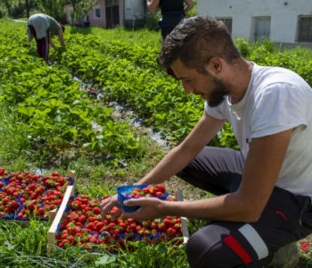 „Neću da idem sa svog i drugom robovati, hoću da budem svoj gazda i da uspijem u svom i na svom“