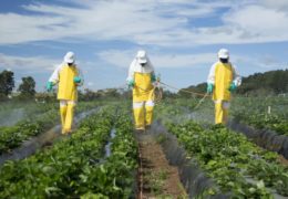 ŠTO TO JEDEMO: Od 184 uzorka hrane samo tri nisu sadržavala pesticide!