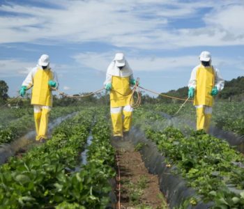 ŠTO TO JEDEMO: Od 184 uzorka hrane samo tri nisu sadržavala pesticide!
