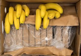 U kamionu s bananama zaplijenjeno 7.7 tona kokaina
