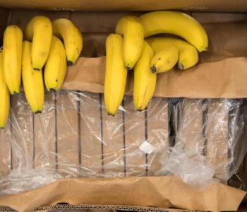 Zaplijenjeno 8 tona kokaina, droga bila sakrivena u kontejnerima banana