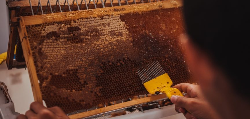 HERCEGOVAČKI PROIZVOĐAČI: “Sumnjamo u kvalitetu meda iz trgovina i pozivamo institucije da ga kontroliraju”