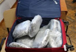 U putnoj torbi pokušao prošvercati 11 kilograma marihuane iz BiH u Hrvatsku