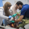 Iscrpljeni doktori južne Gaze prisiljeni da ostavljaju djecu da umru
