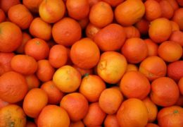 POŠILJKA ZA BIH: Pesticidi treći put otkriveni u neretvanskim mandarinama
