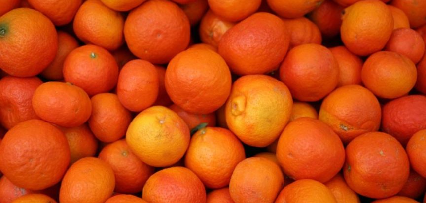 POŠILJKA ZA BIH: Pesticidi treći put otkriveni u neretvanskim mandarinama