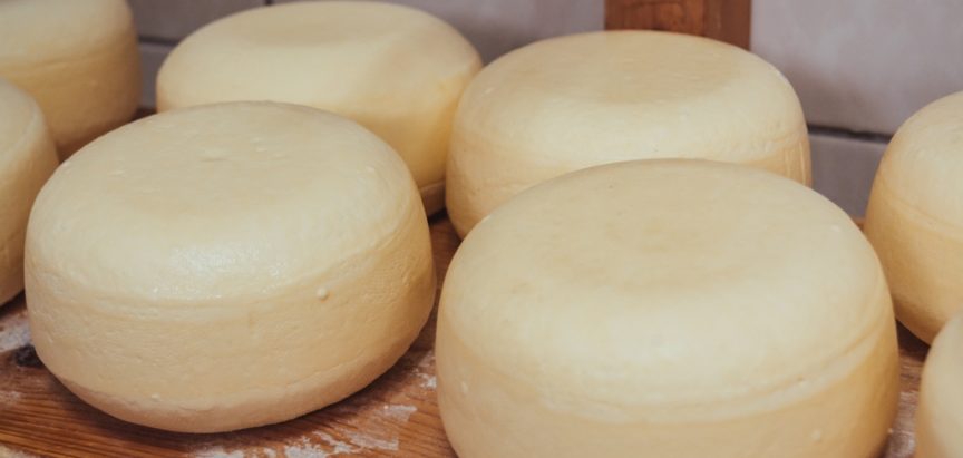 DOMAĆI PROIZVOĐAČI: “BiH uveze 12 tisuća tona sira koji se i ovdje može proizvesti”