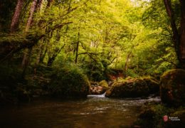 MEĐUNARODNI DAN RIJEKA: Podizanje svijesti o važnosti očuvanja rijeka kao najvažnijeg vodnog resursa