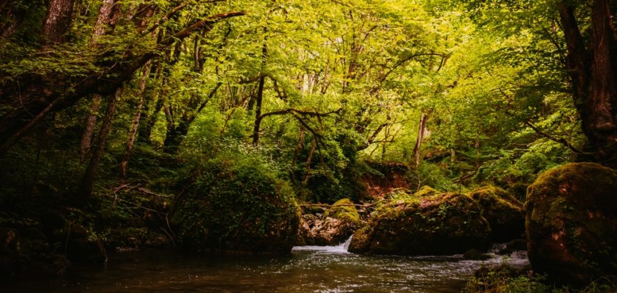 MEĐUNARODNI DAN RIJEKA: Podizanje svijesti o važnosti očuvanja rijeka kao najvažnijeg vodnog resursa