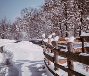 Zima popušta svoj stisak, početak veljače u Hercegovini obilježit će proljetno vrijeme