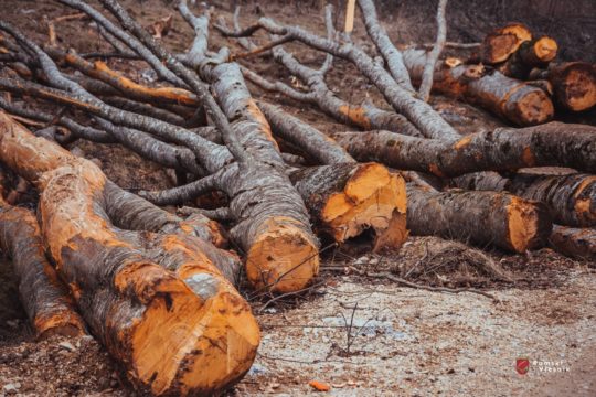 URED NAČELNIKA: ‘Zločin nad šumama Rame – zločin nad narodom Rame’
