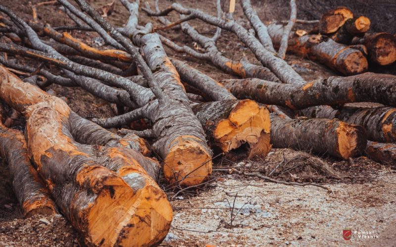 URED NAČELNIKA: ‘Zločin nad šumama Rame – zločin nad narodom Rame’