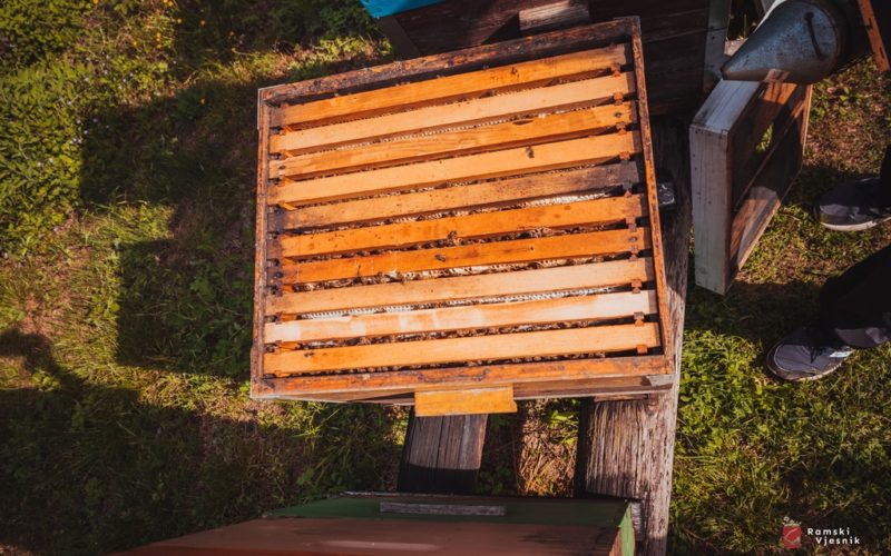 Tko i u kojim uvjetima nadoknađuje štetu nastalu koju prouzroči divljač