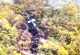 Objavljene snimke mjesta pada helikoptera u kojem je bio iranski predsjednik