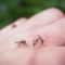 Stigli tigrasti komarci u BiH, moguća pojava i denga groznice