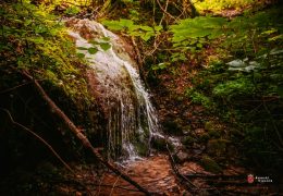 BiH ostala bez 266 km svojih netaknutih rijeka