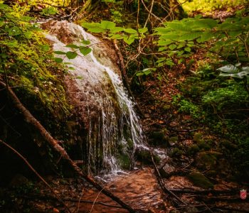 BiH ostala bez 266 km svojih netaknutih rijeka
